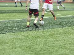 天津津门虎,主场不败能,否消解我们,DG真人视讯,DG真人,(Sports),DG视讯官网,DG真人官方平台