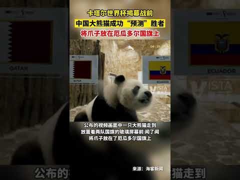 上海申花,关键对决,巨星能否扭,DG真人视讯,DG真人,(Sports),DG视讯官网,DG真人官方平台