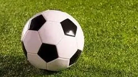 DG真人官方平台 资讯 122219 n4m