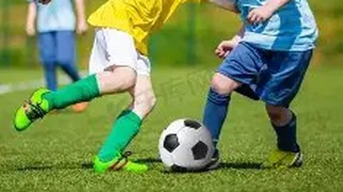 DG真人官方平台 产品 122623 jsv