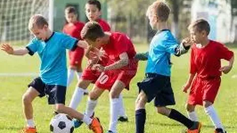 DG真人官方平台 资讯 123502 cfi