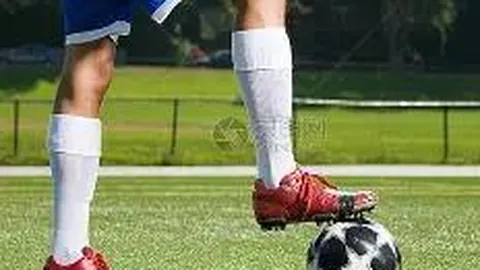 DG真人官方平台 资讯 123534 fjw