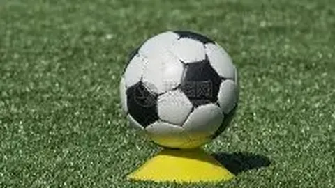 DG真人官方平台 资讯 103415 veo